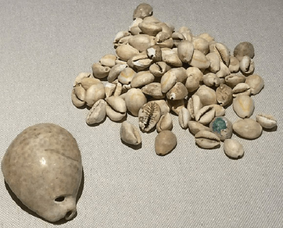 刘西诺：中国云南出土海贝所见早期中外交流